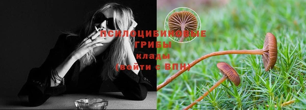 гашик Белокуриха