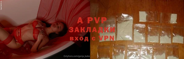 гашик Белокуриха