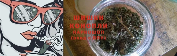 гашик Белокуриха