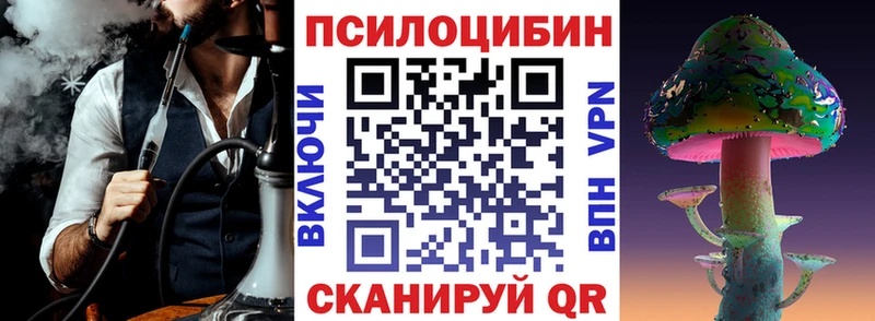 Псилоцибиновые грибы MAGIC MUSHROOMS  закладки  кракен ССЫЛКА  Гулькевичи 